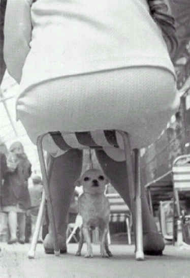 _
